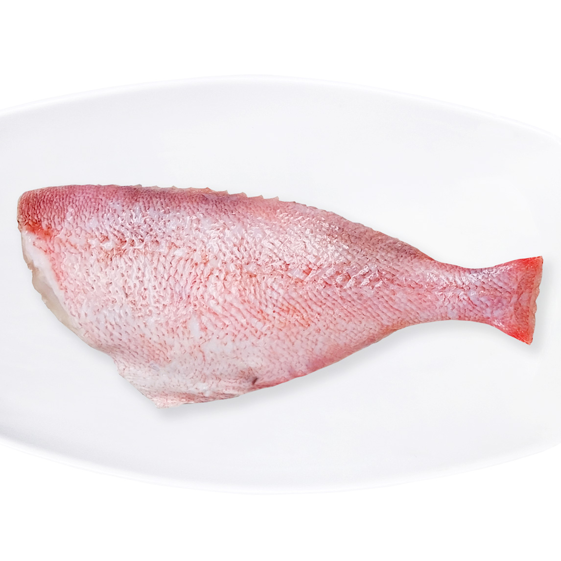 CÁ RED FISH FILLET ĐÔNG LẠNH (Sebastes alutus), RM origin: USA